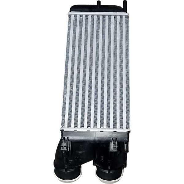 Intercooler Radiador C4 Lounge Peugeot 308 Thp 96565003480